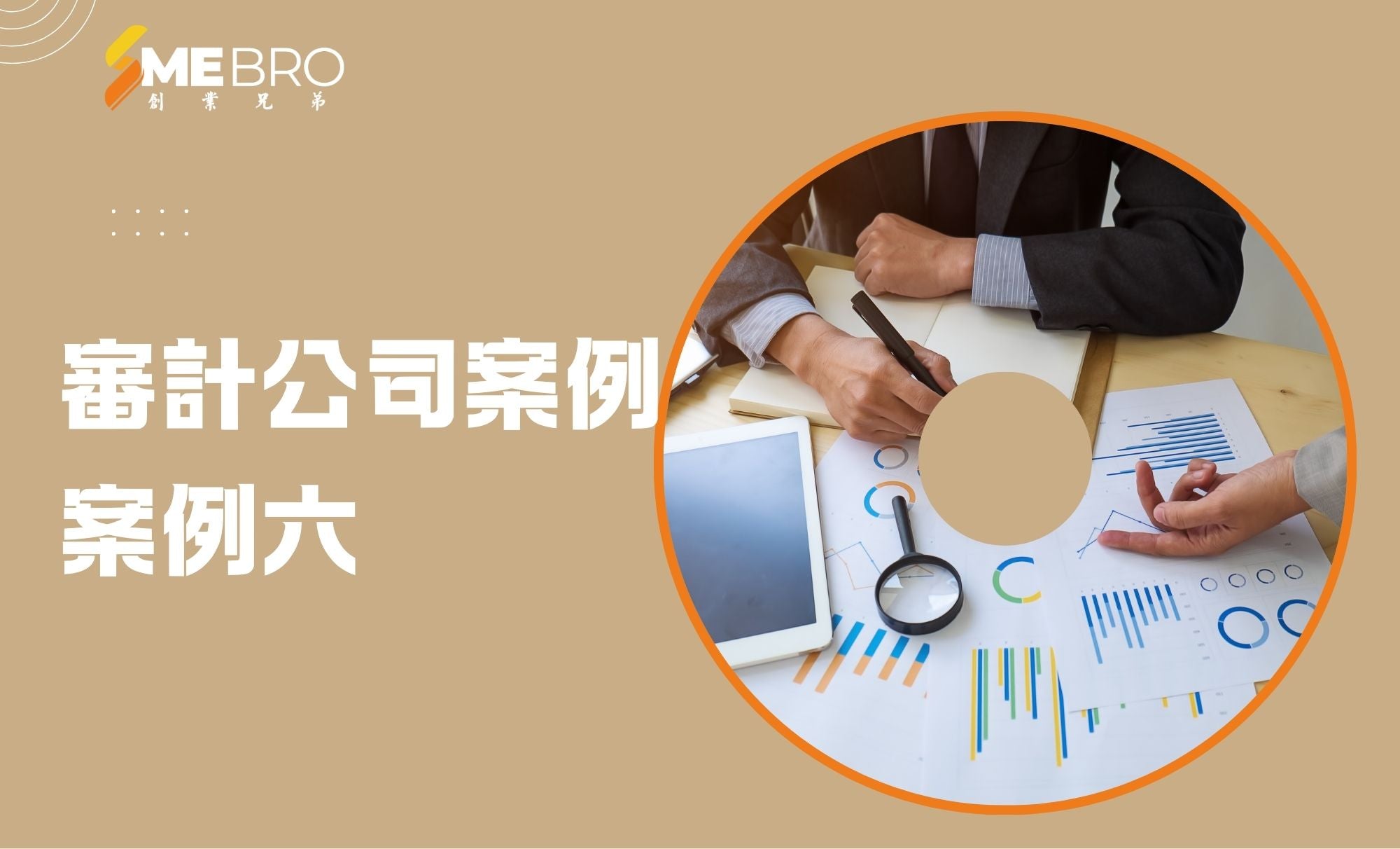 電路行業公司公司審計案例
