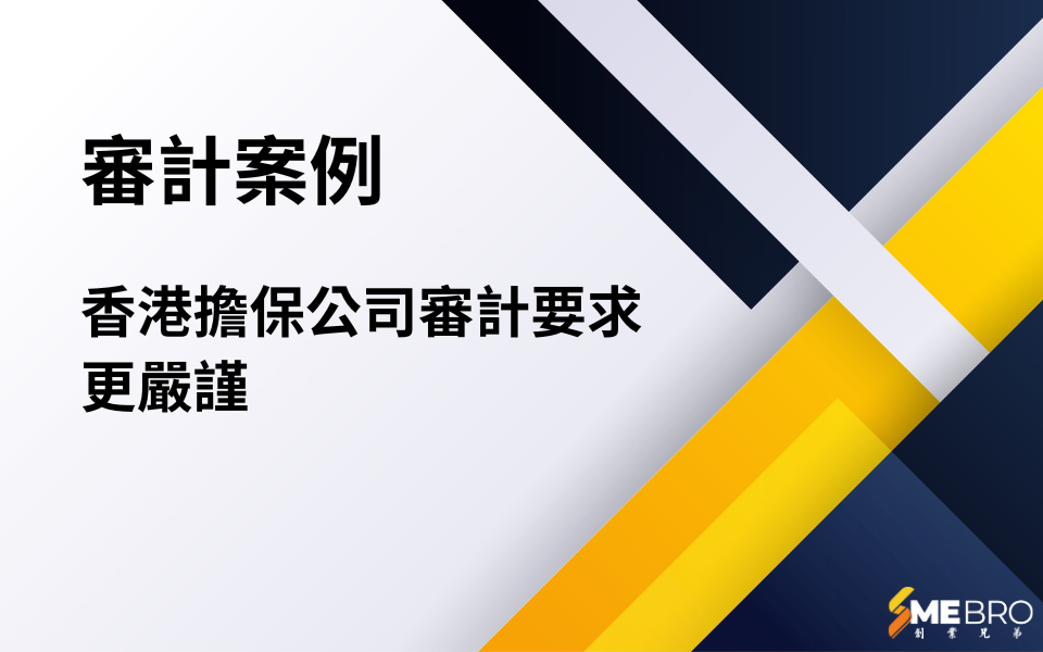 審計案例|擔保公司審計要求更嚴謹