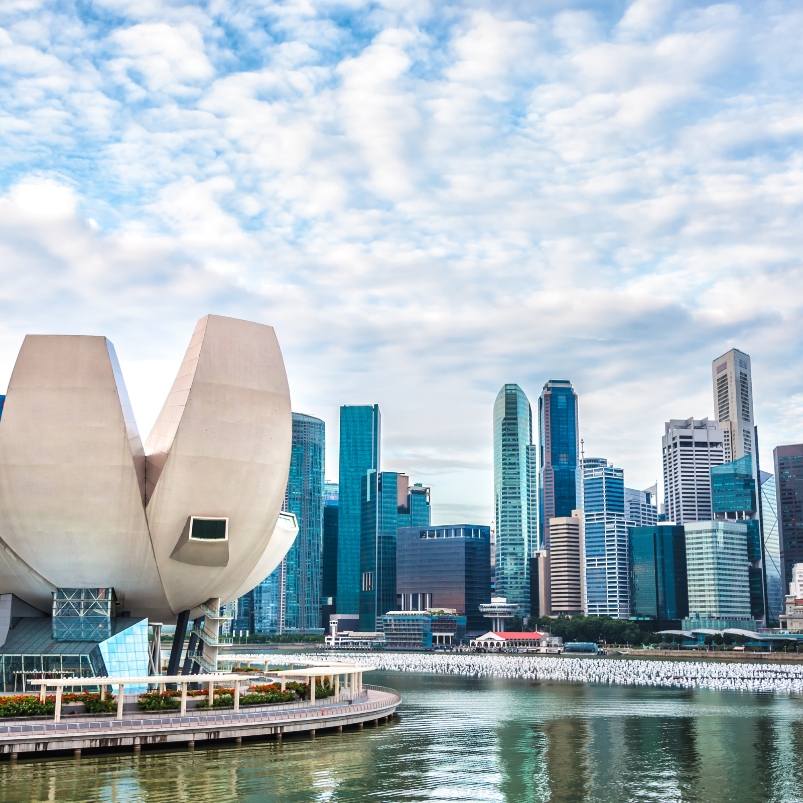 Singapore Company Account Opening Service | 新加坡公司開戶服務