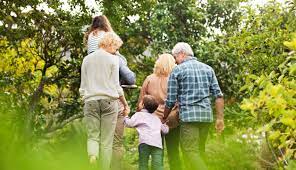 Family Office Services | 家族資產管理服務