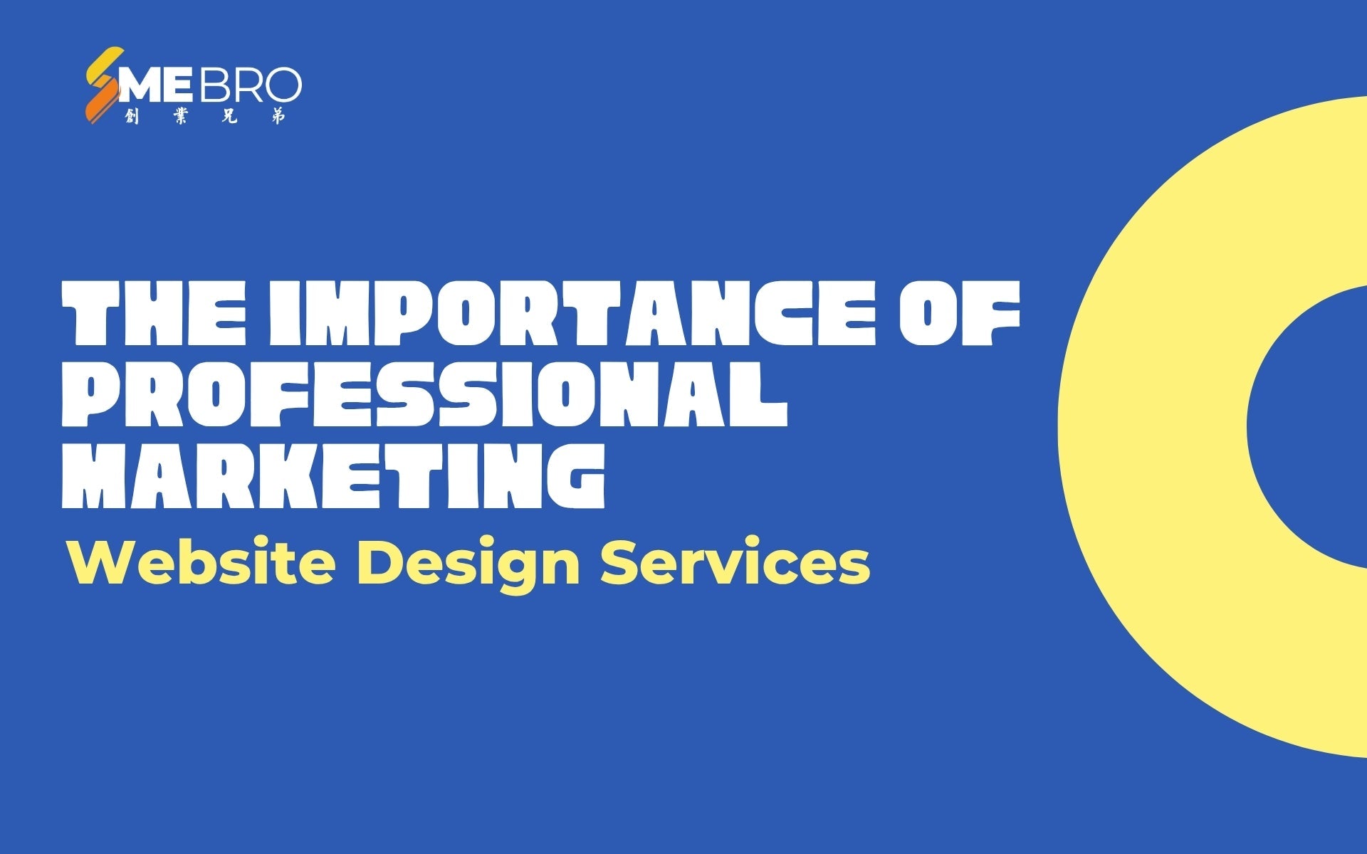 The Importance of Professional Marketing   Website Design Services