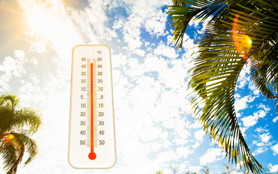 極端酷熱天氣下勞工如何避暑？揭秘《暑熱指引》實際效用！