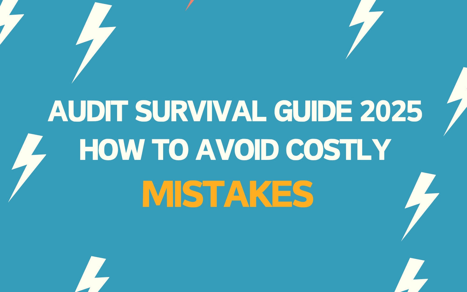 Audit Survival Guide 2025: How to Avoid Costly Mistakes and Pass with Flying Colors