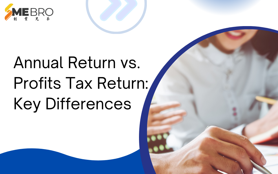 Annual Return vs. Profits Tax Return: Key Differences