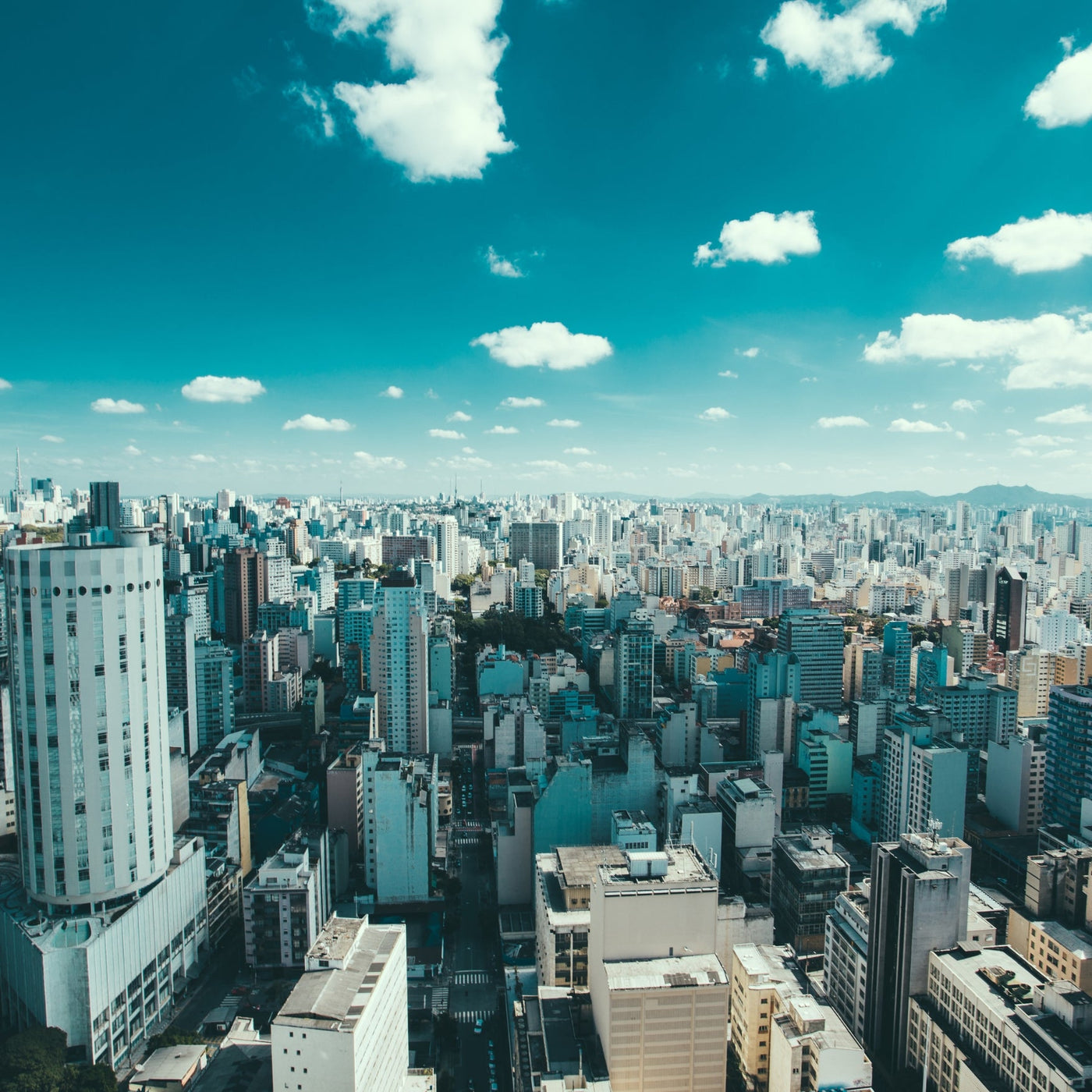 海外業務 |Overseas business